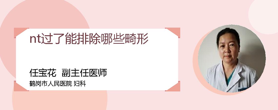 nt过了能排除哪些畸形