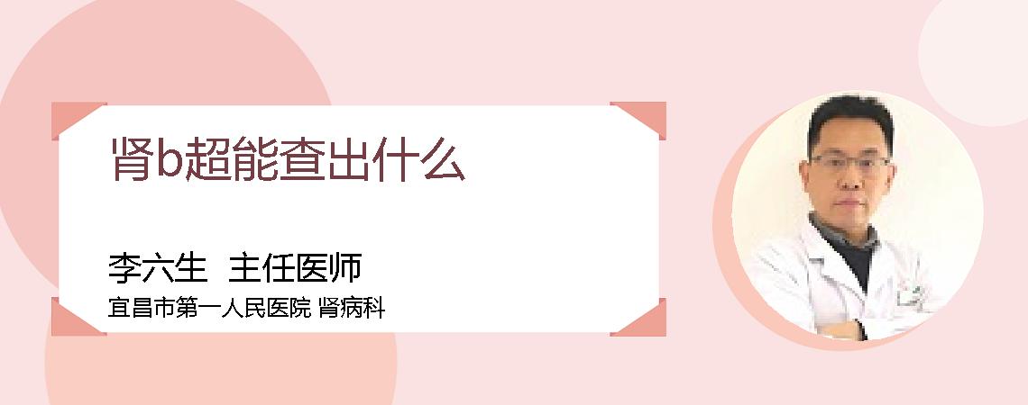 肾b超能查出什么