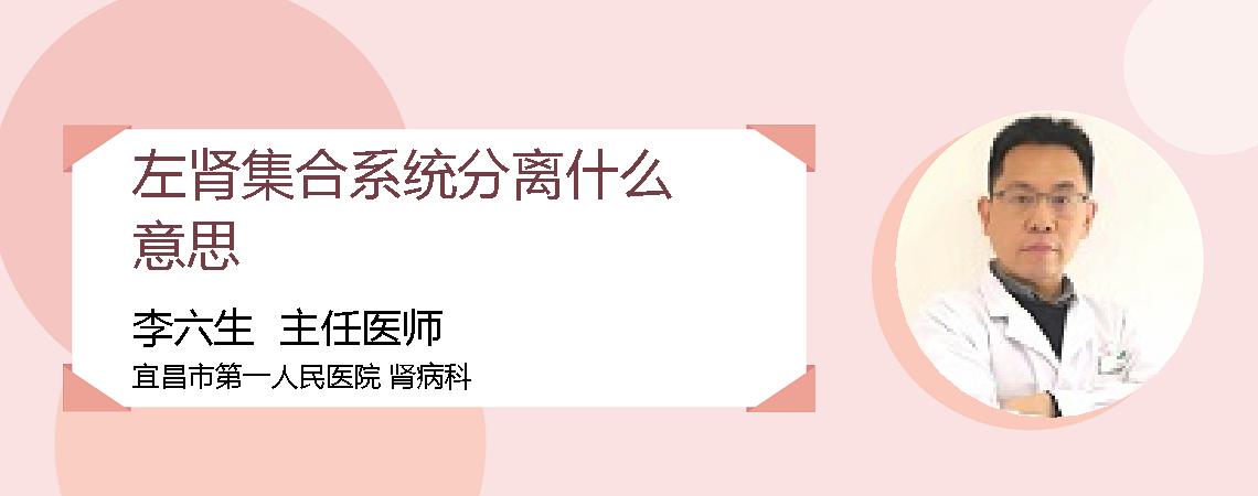 左肾集合系统分离什么意思
