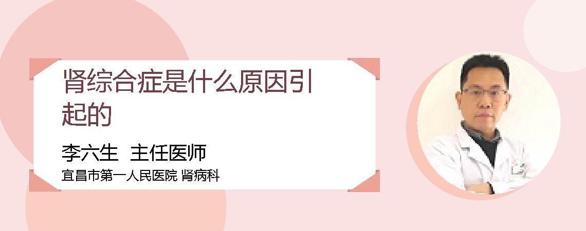 肾综合症是什么原因引起的