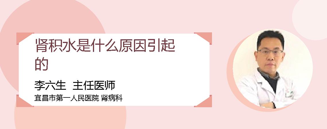 肾积水是什么原因引起的