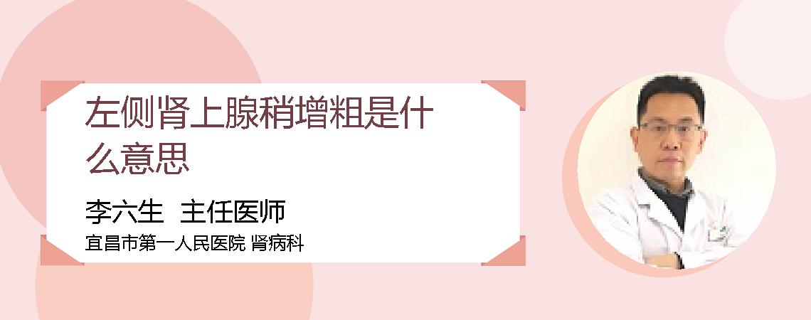 左侧肾上腺稍增粗是什么意思