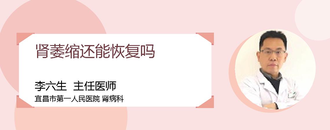 肾萎缩还能恢复吗