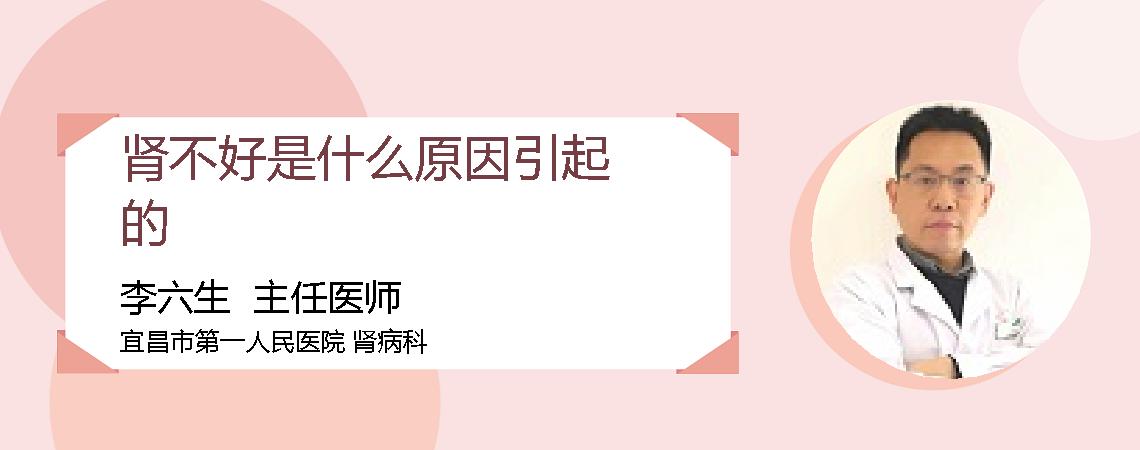 肾不好是什么原因引起的