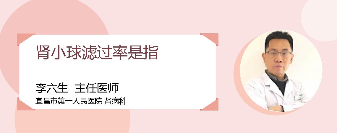 肾小球滤过率是指