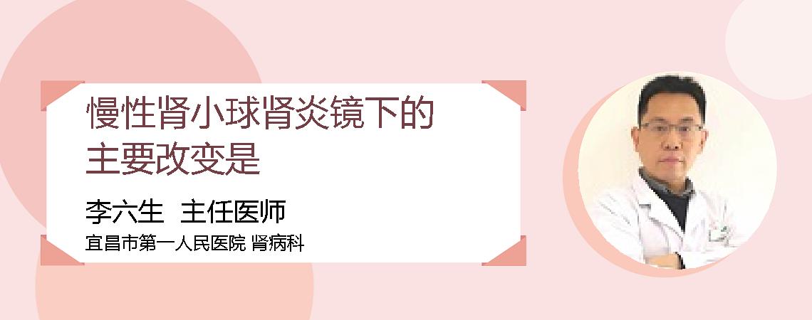 慢性肾小球肾炎镜下的主要改变是