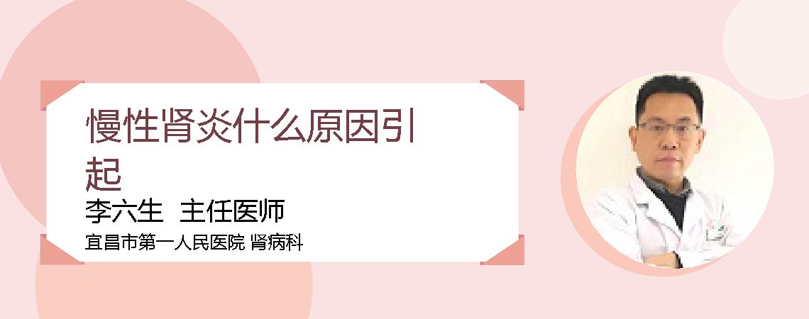 慢性肾炎什么原因引起