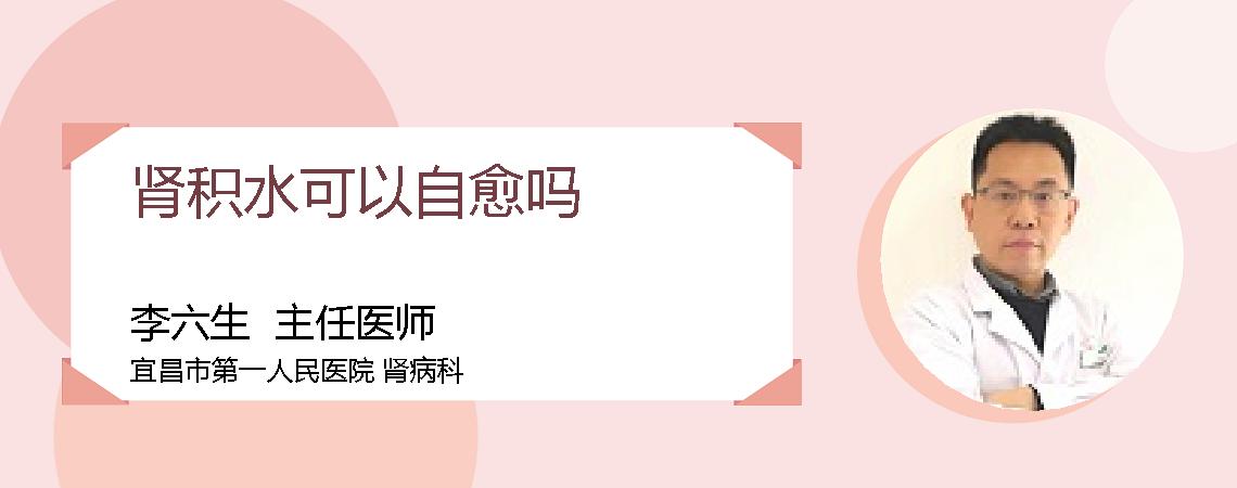 肾积水可以自愈吗