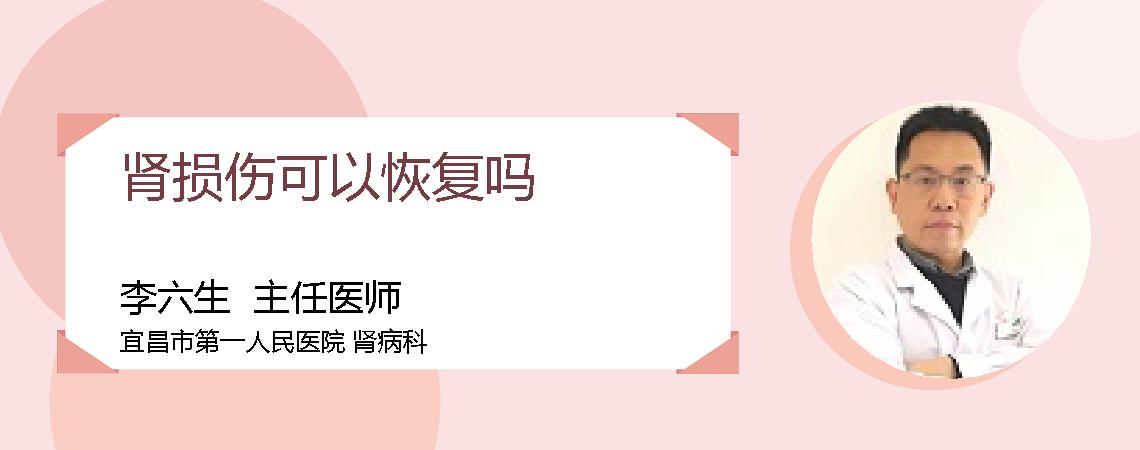 肾损伤可以恢复吗