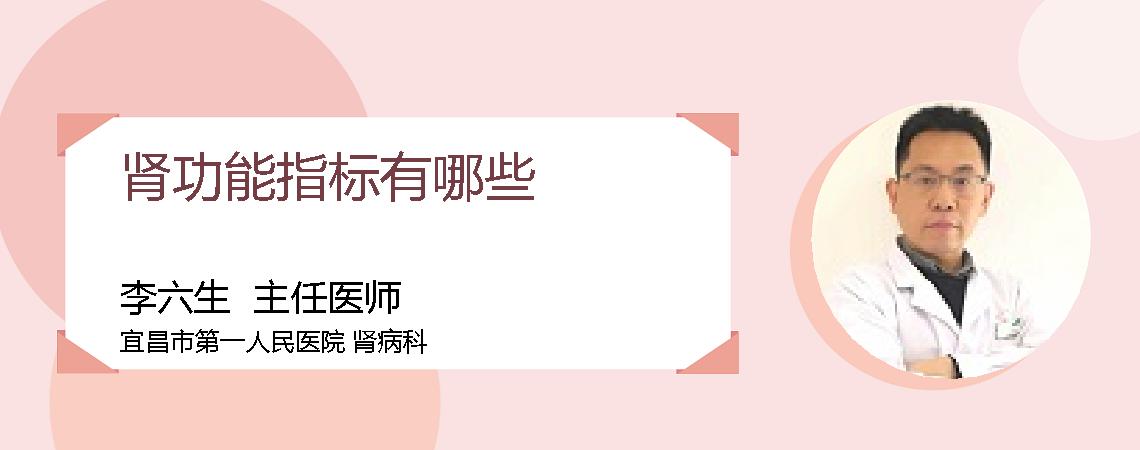 肾功能指标有哪些