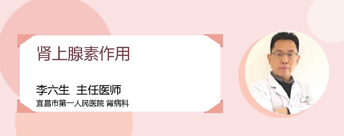 肾上腺素作用