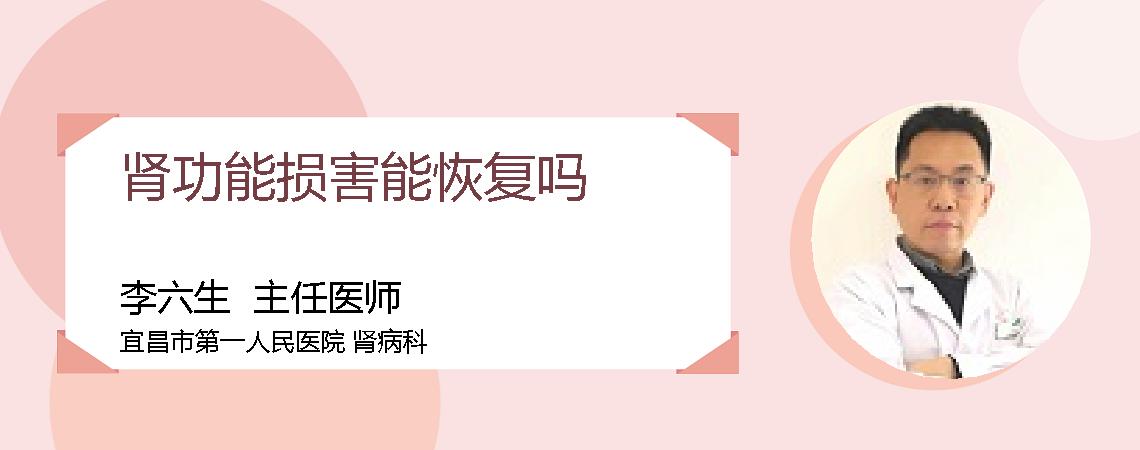 肾功能损害能恢复吗