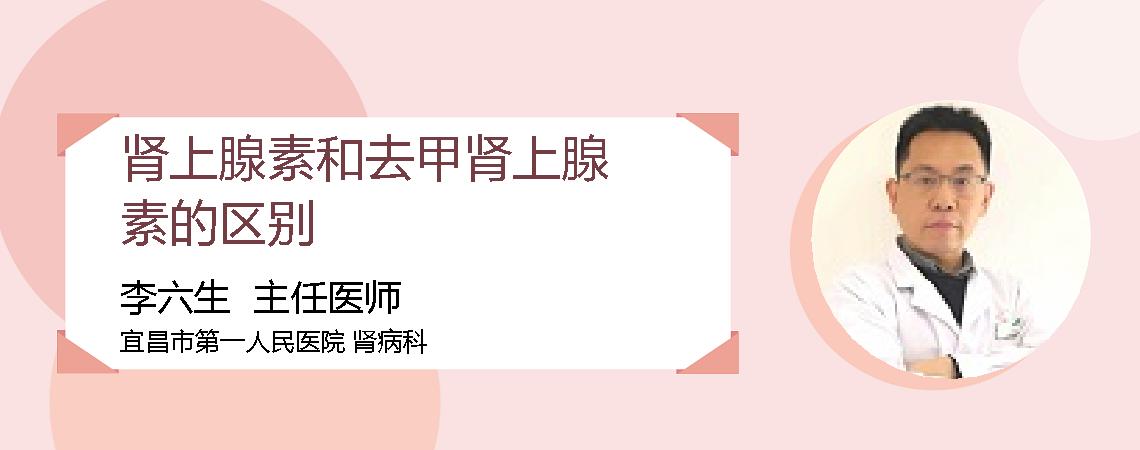 肾上腺素和去甲肾上腺素的区别