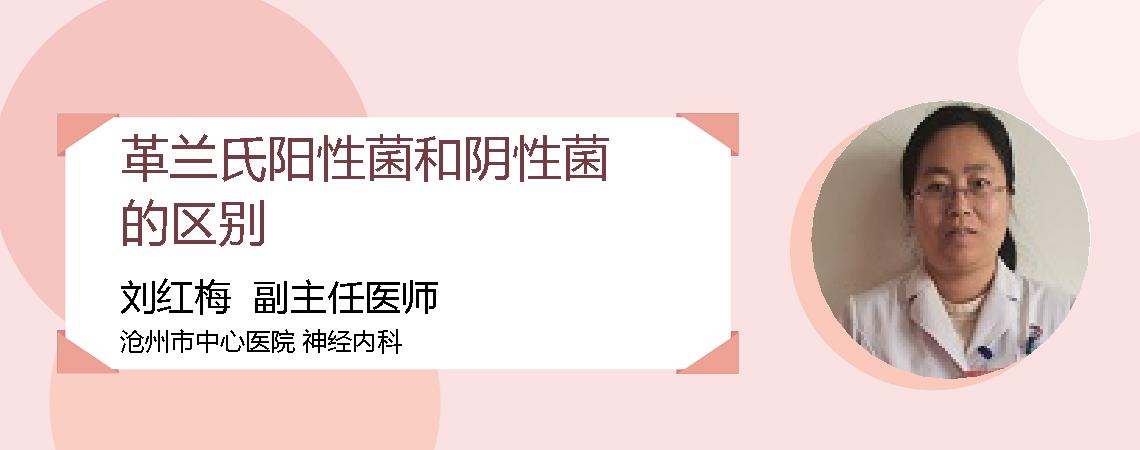 革兰氏阳性菌和阴性菌的区别