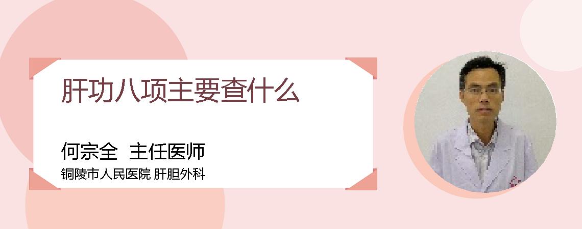肝功八项主要查什么