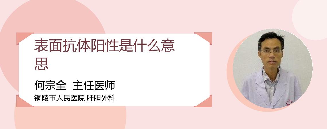 表面抗体阳性是什么意思