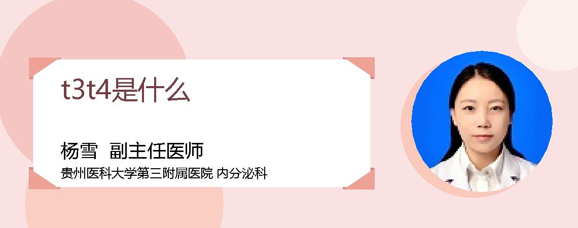 t3t4是什么