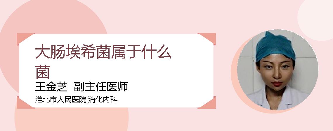 大肠埃希菌属于什么菌