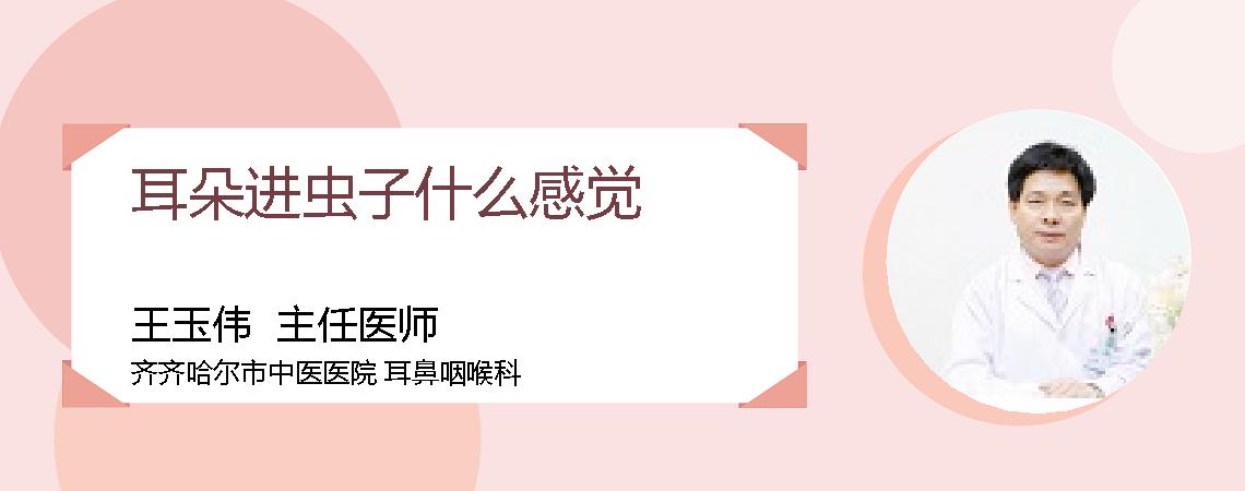 耳朵进虫子什么感觉