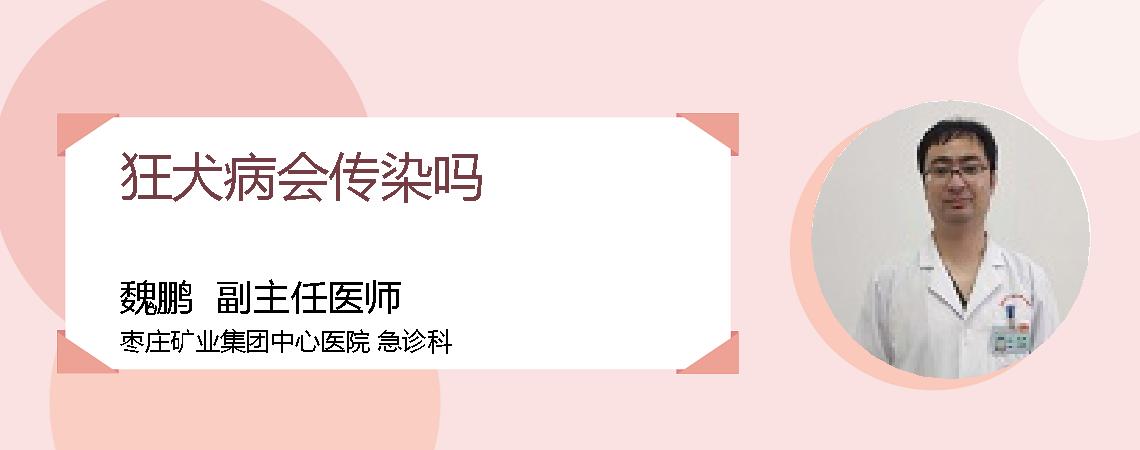 狂犬病会传染吗