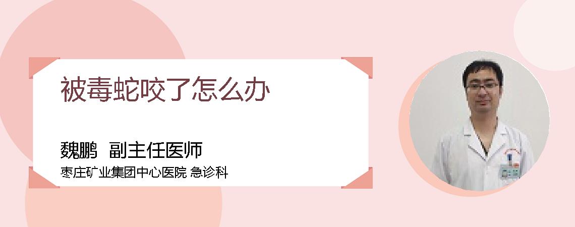 被毒蛇咬了怎么办