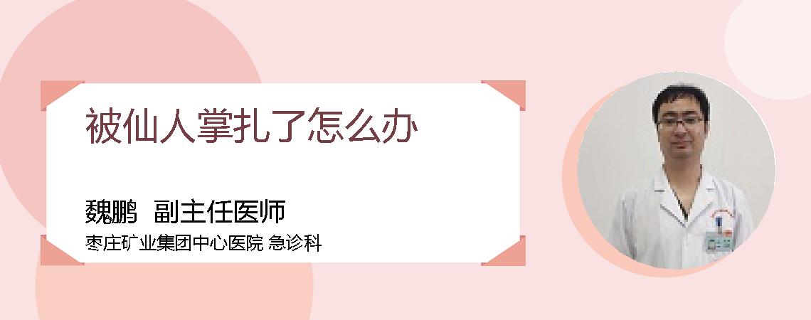 被仙人掌扎了怎么办