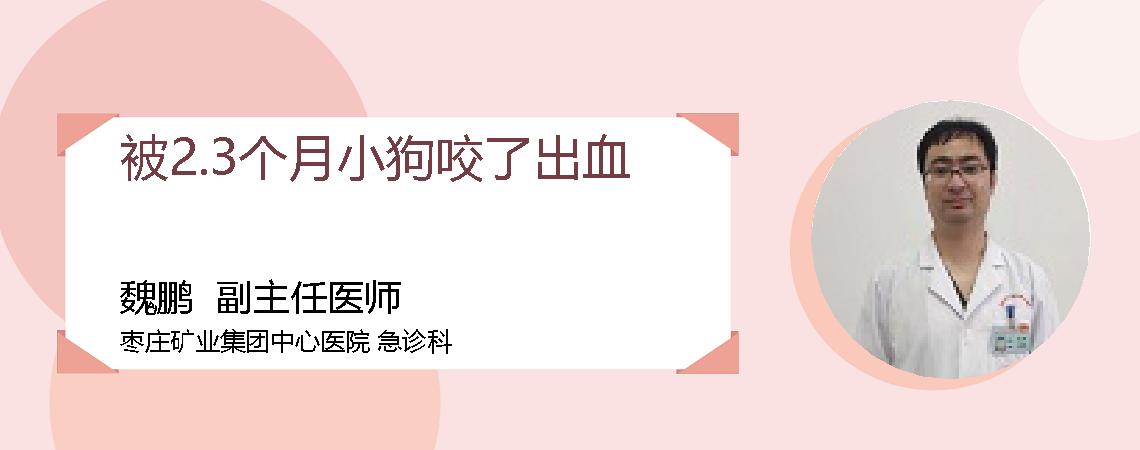 被2.3个月小狗咬了出血