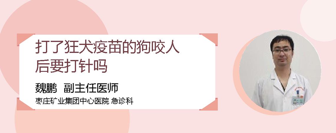 打了狂犬疫苗的狗咬人后要打针吗