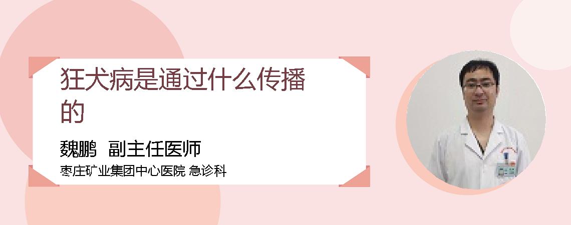 狂犬病是通过什么传播的