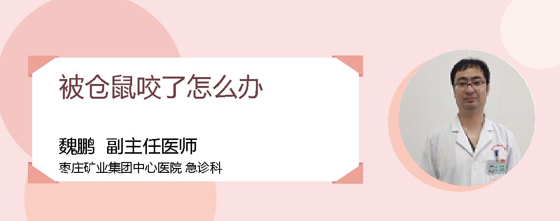 被仓鼠咬了怎么办