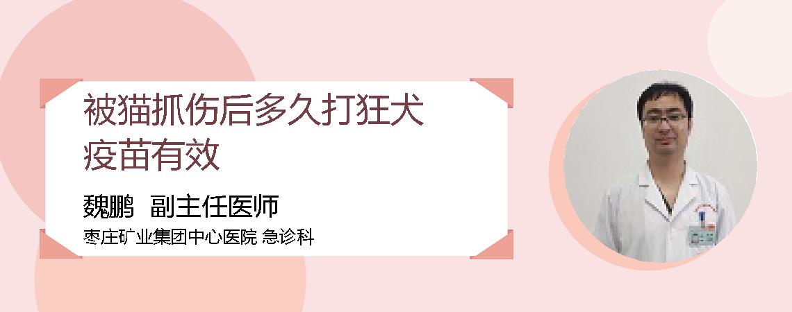 被猫抓伤后多久打狂犬疫苗有效