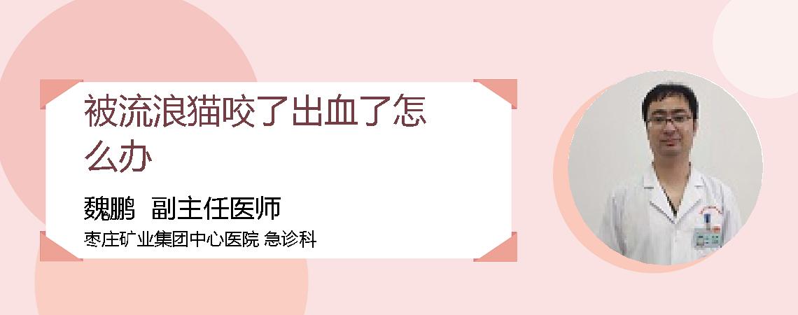 被流浪猫咬了出血了怎么办