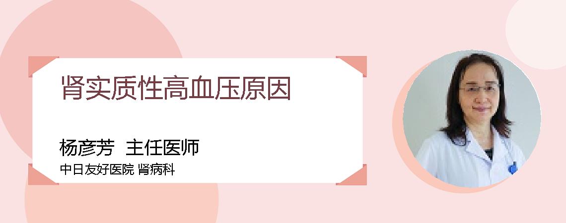 肾实质性高血压原因