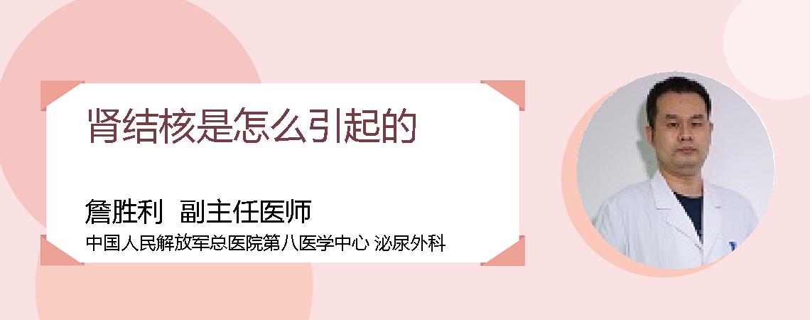 肾结核是怎么引起的