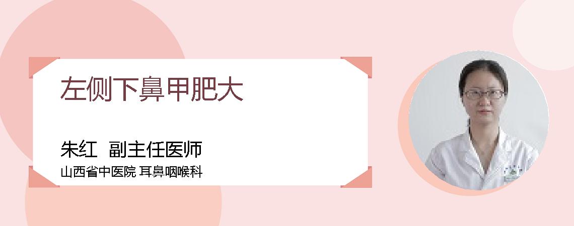 左侧下鼻甲肥大