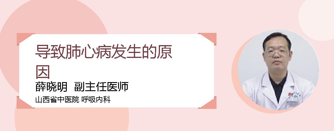 导致肺心病发生的原因