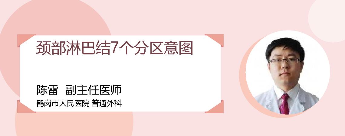 颈部淋巴结7个分区意图