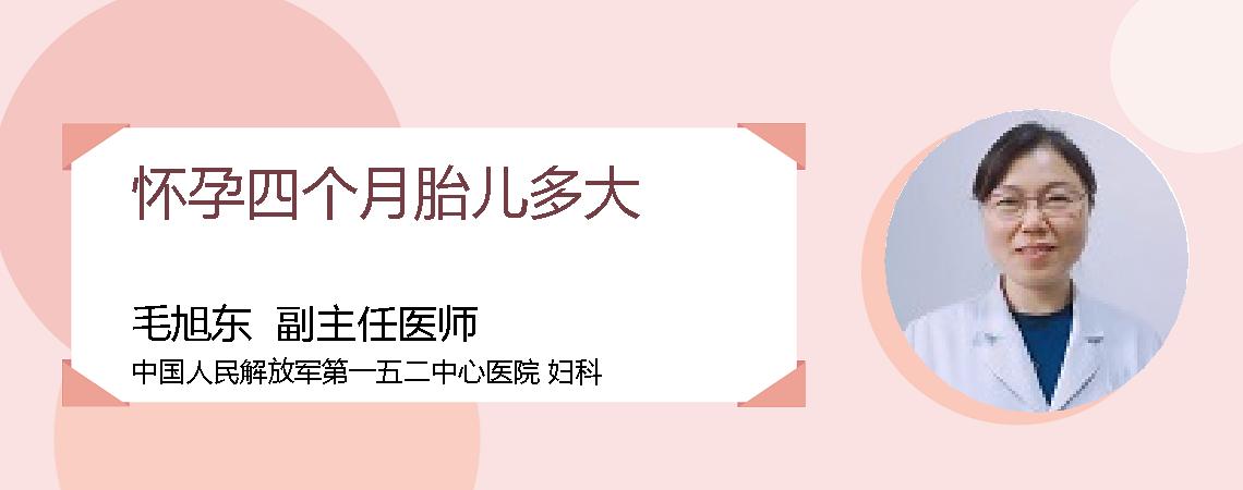 怀孕四个月胎儿多大