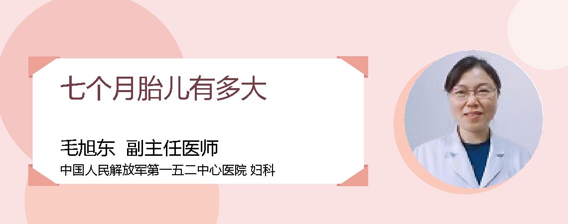 七个月胎儿有多大