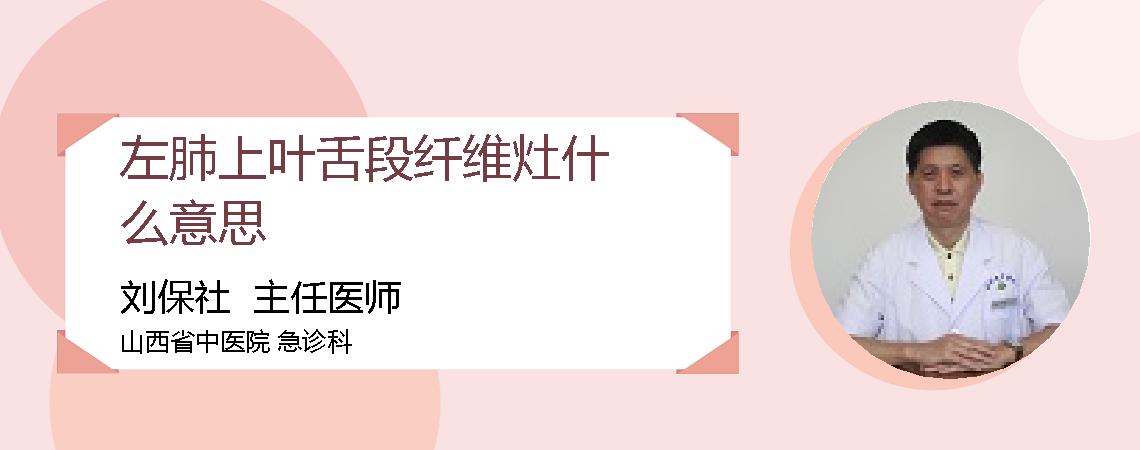 左肺上叶舌段纤维灶什么意思