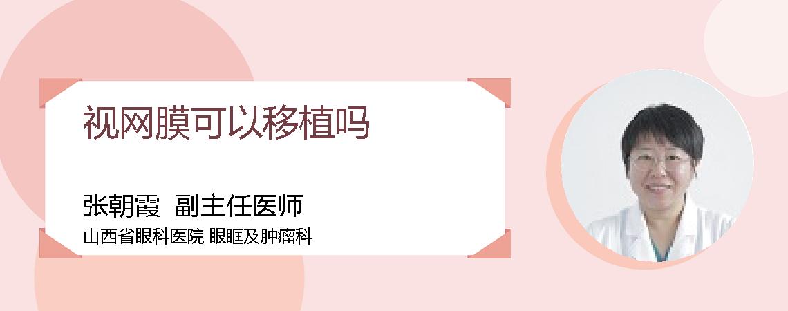 视网膜可以移植吗