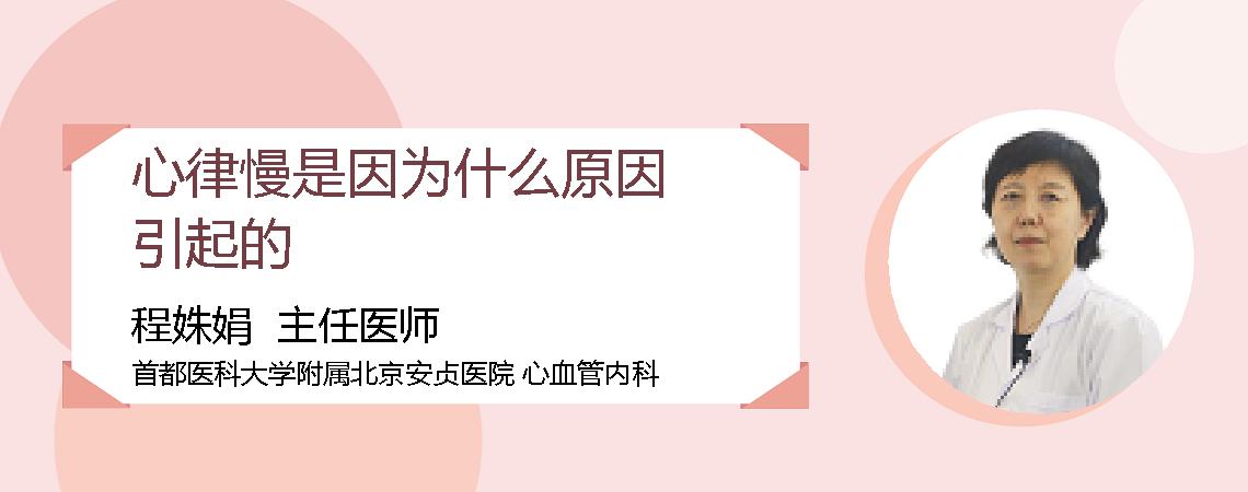 心律慢是因为什么原因引起的