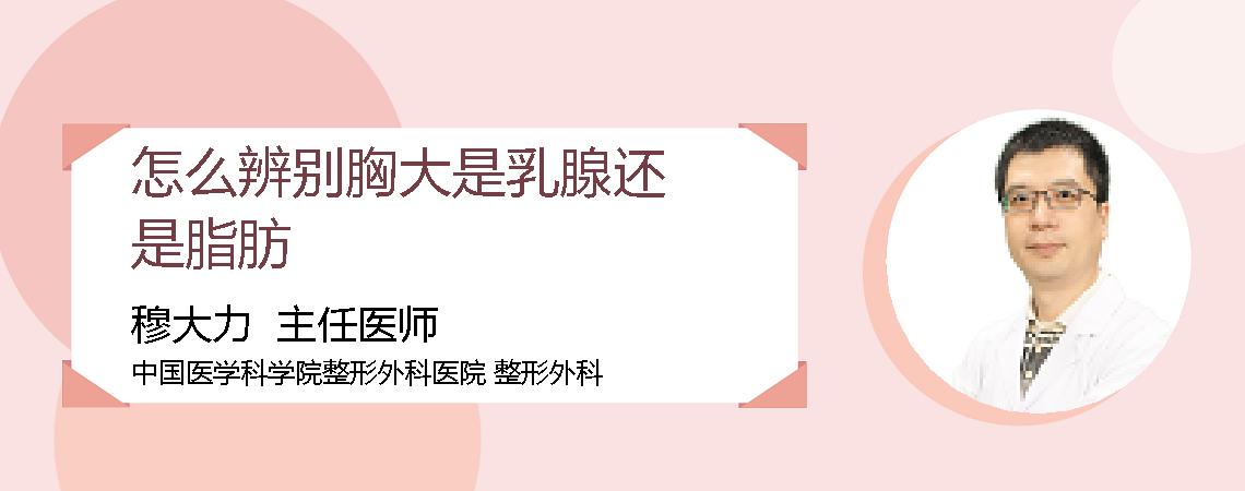怎么辨别胸大是乳腺还是脂肪