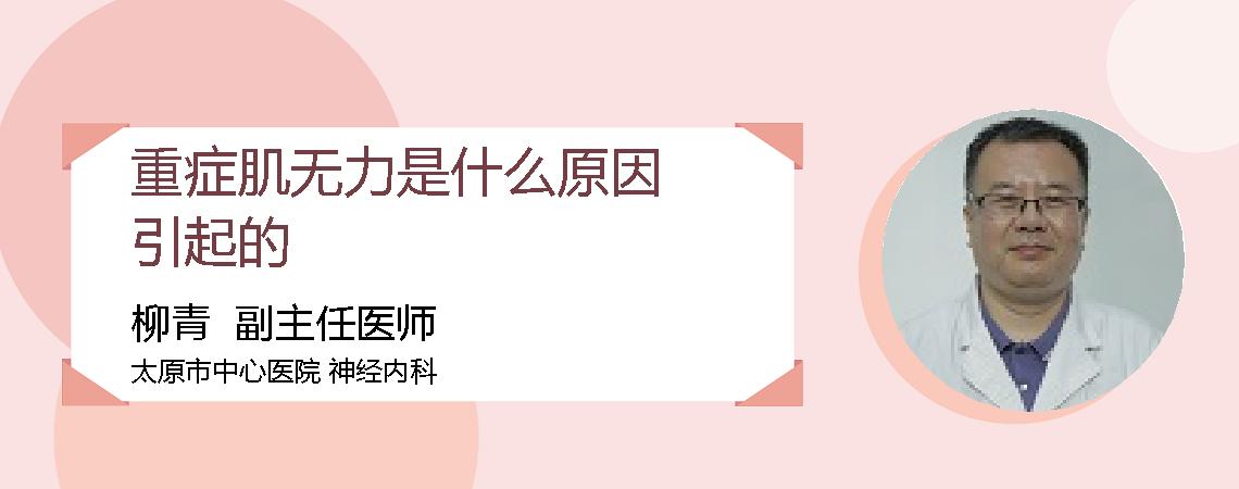 重症肌无力是什么原因引起的