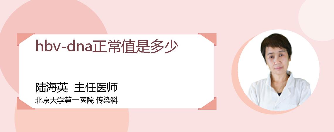 hbv-dna正常值是多少
