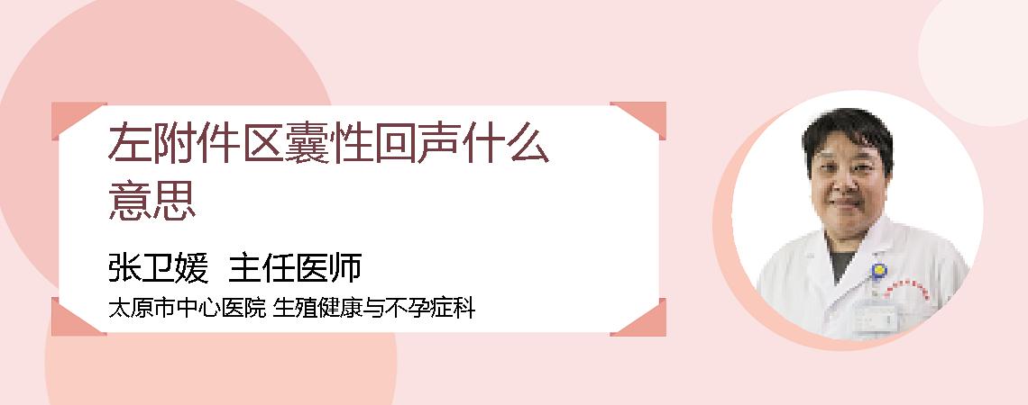 左附件区囊性回声什么意思