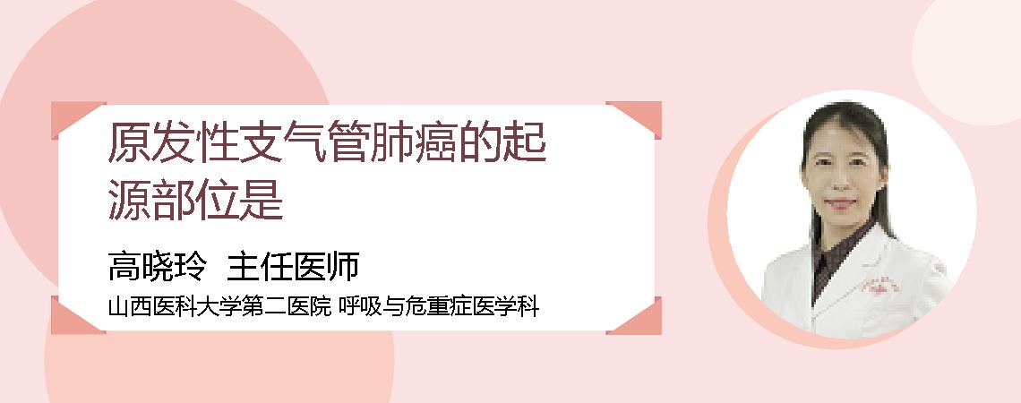 原发性支气管肺癌的起源部位是