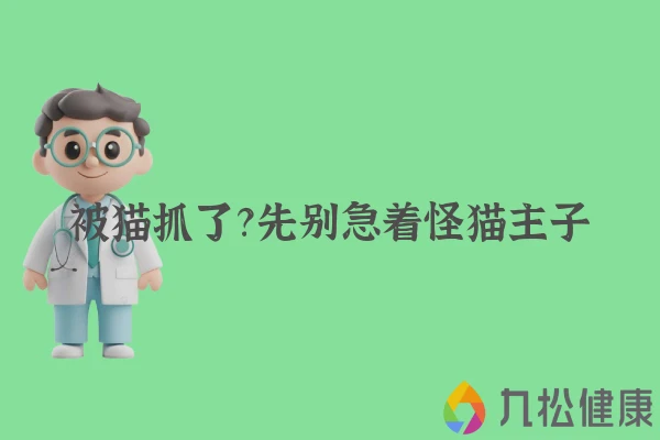 被猫抓了？先别急着怪猫主子